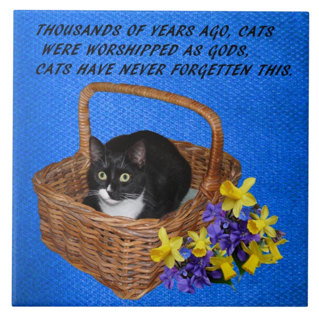 CARREAU CITATION DE CAT (Devant)