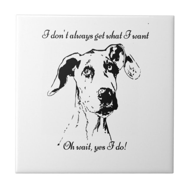 Carreau Citation de chien fou (Devant)
