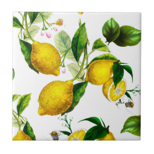 Carreau Citrons, agrumes, papier     arc méditerranéen