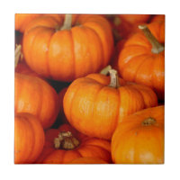 Citrouille