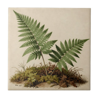 Carreau Classic Fern Botanical