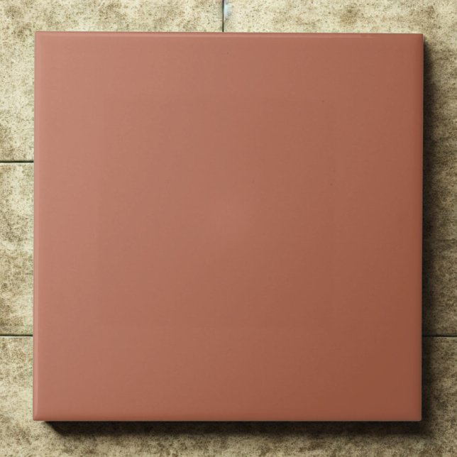 Carreau Clay #b66a50 – Warm, Mellow, Natural Orange (Créateur téléchargé)