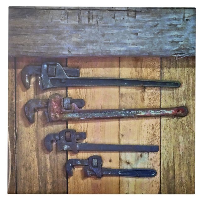 Carreau Clôtures de singes (Devant)