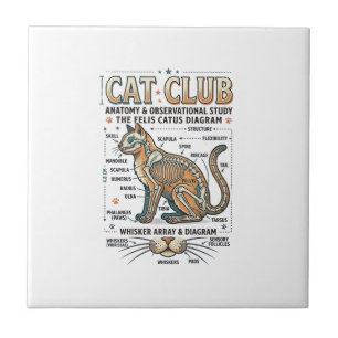 Carreau Club Chat Anatomie du Chat Diagramme Scientifique