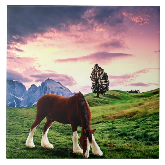 Carreau Clydesdale Sunset (Devant)