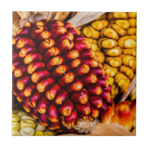 Carreau Cobs de maïs