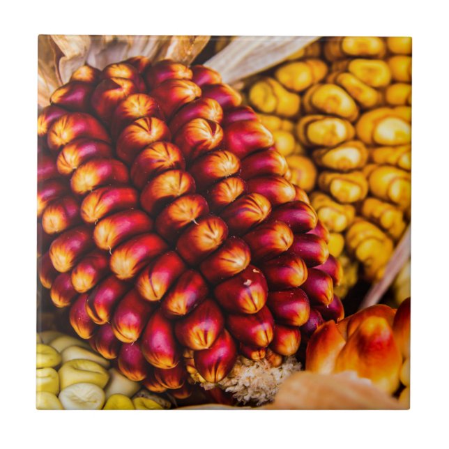 Carreau Cobs de maïs (Devant)