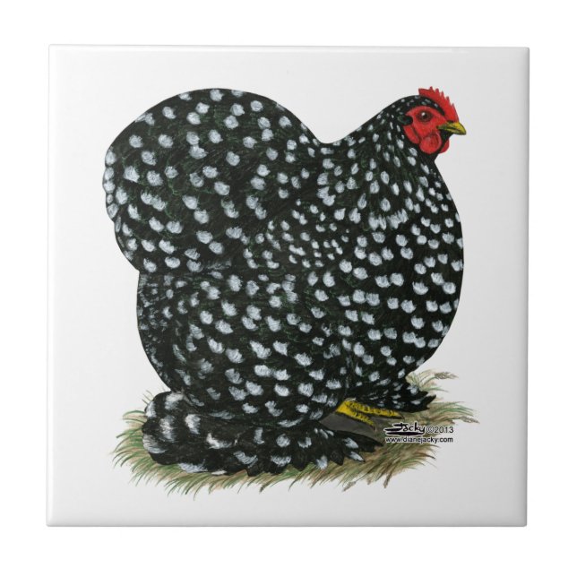 Carreau Cochin a chiné la poule (Devant)