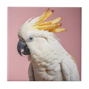 Carreau Cockatoo Drôle Avec Crest Fries Français