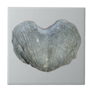 Carreau Coeur de Brachiopod