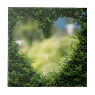 Carreau Coeur Topiaire Vert