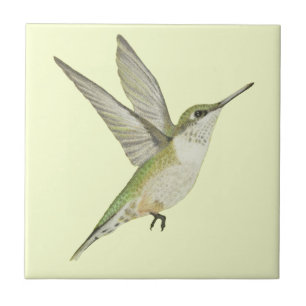 Carreau Colibri