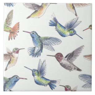 Carreau Colibri