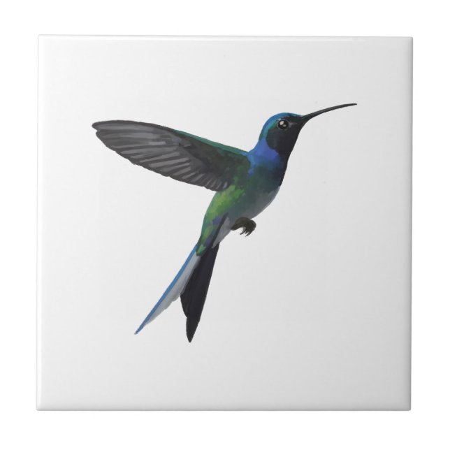 Carreau Colibri (Devant)