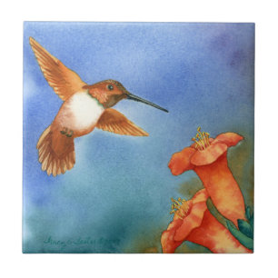 Carreau Colibri