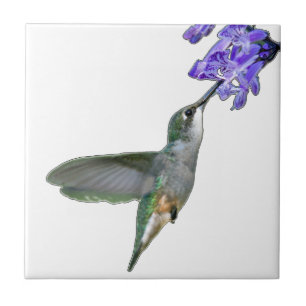 Carreau Colibri avec la lavande de Mona
