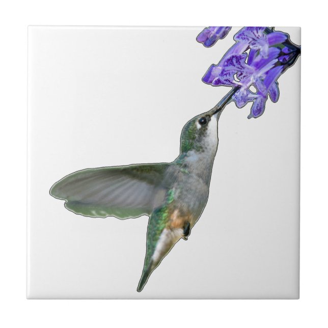 Carreau Colibri avec Mona Lavender (Devant)