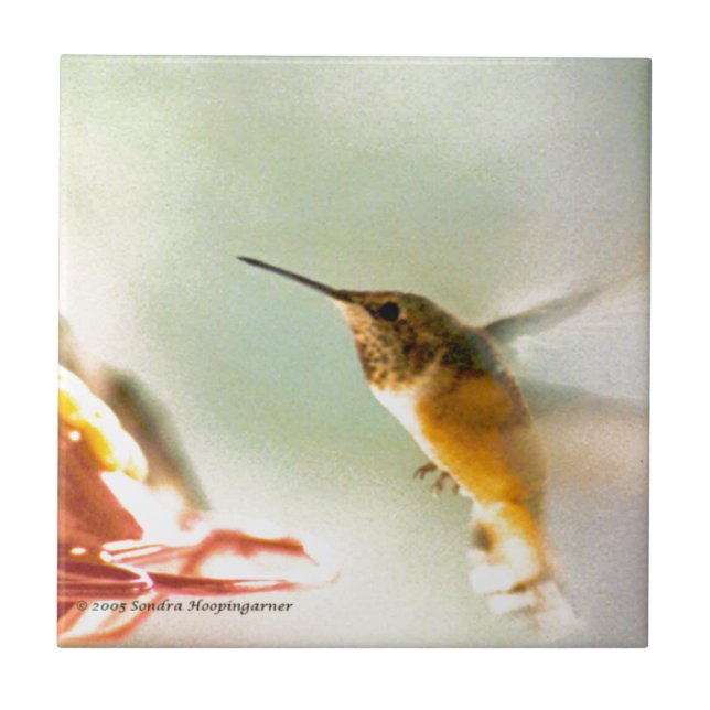 Carreau Colibri de Rufus (Devant)