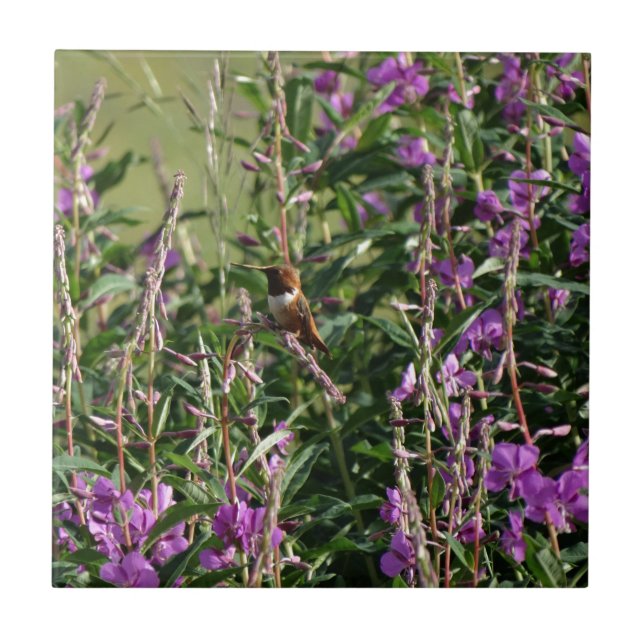 Carreau Colibri en pourpre (Devant)