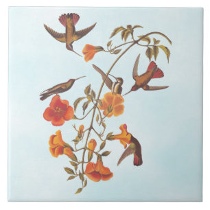Carreau Colibris de la mangrove aux fleurs de trompette or