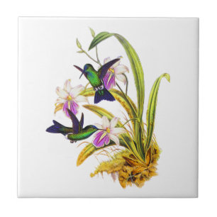 Carreau Colibris et orchidées pourpres