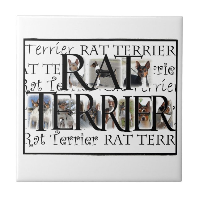 Carreau Collage de Rat terrier (Devant)