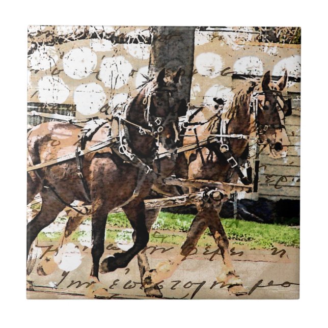 Carreau Collage multimédia mixte de l'équipe de deux cheva (Devant)