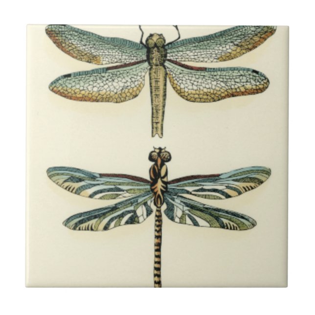 Carreau Collection de libellules par Chariklia Zarris (Devant)