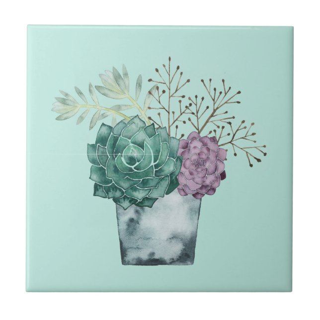 Carreau Collection plante Happy | Succulents (Devant)