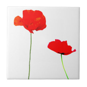 Carreau Collection POPPY 03 Tuile
