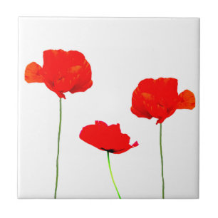 Carreau Collection POPPY 05 Tuile
