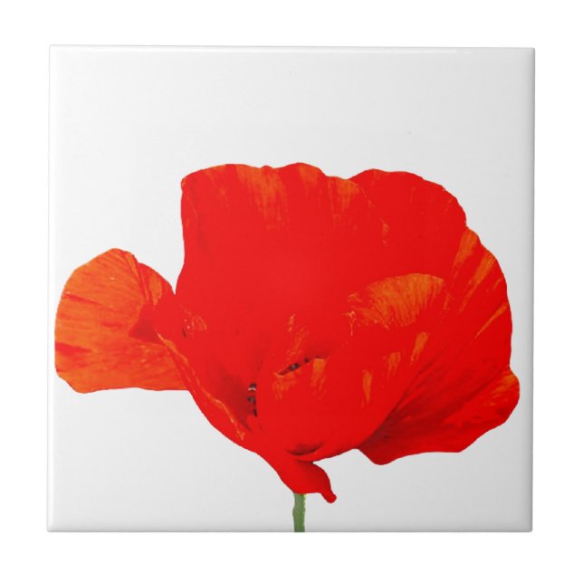 Carreau Collection POPPY 06 Table (Devant)