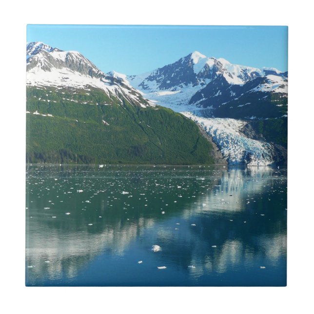 Carreau College Fjord I Belle photographie de l'Alaska (Devant)