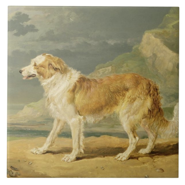 Carreau colley Rugueux-enduit, 1809 (huile à bord) (Devant)