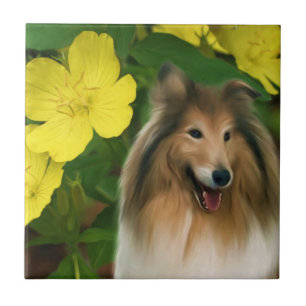 Carreau Collie Et Fleurs Chien Art