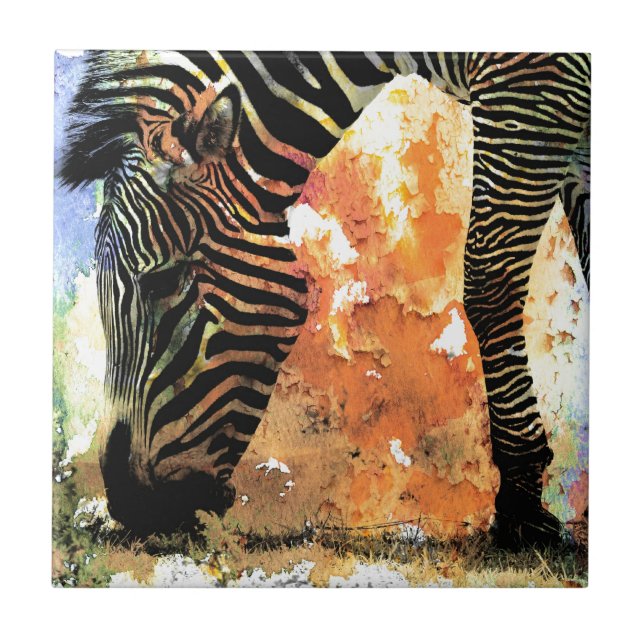Carreau Coloré Zebra Grunge (Devant)