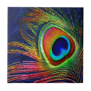 Carreau Colorful Peacock Feather
