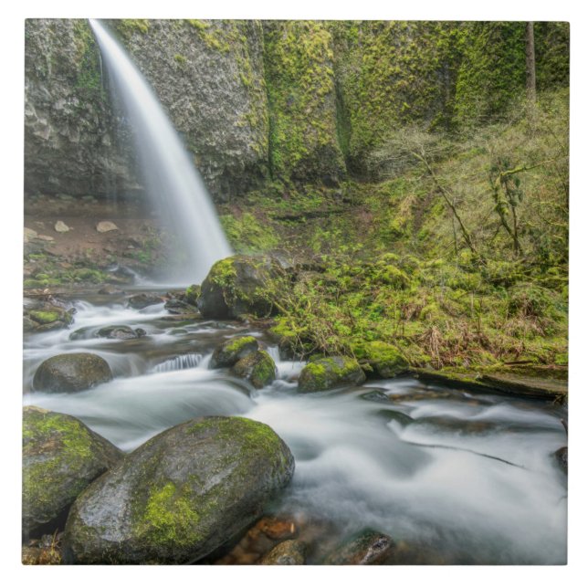 Carreau Columbia River Gorge, Ponytail Falls (Devant)
