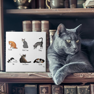 Carreau Commandes Cat