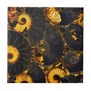 Carreau Conception de coque Nautilus