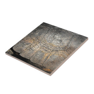 Carreau Conception de la coque de tortue Gopher