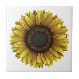 Carreau Conception de l'art botanique des tournesols