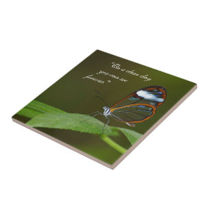 Carreau Conception de papillon de Glasswing "temps clair"