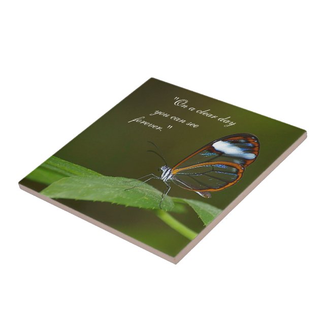 Carreau Conception de papillon de Glasswing "temps clair" (Côté)