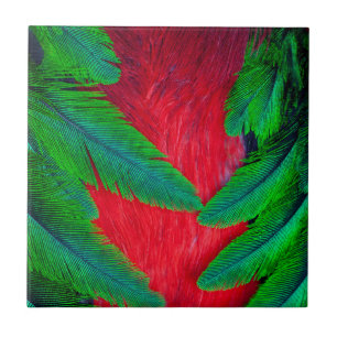 Carreau Conception de plume de Quetzal resplendissant