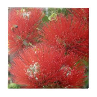Carreau Conception indigène hawaïenne de fleur d'Ohia