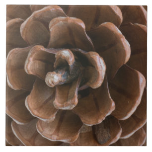 Carreau Cône de pin