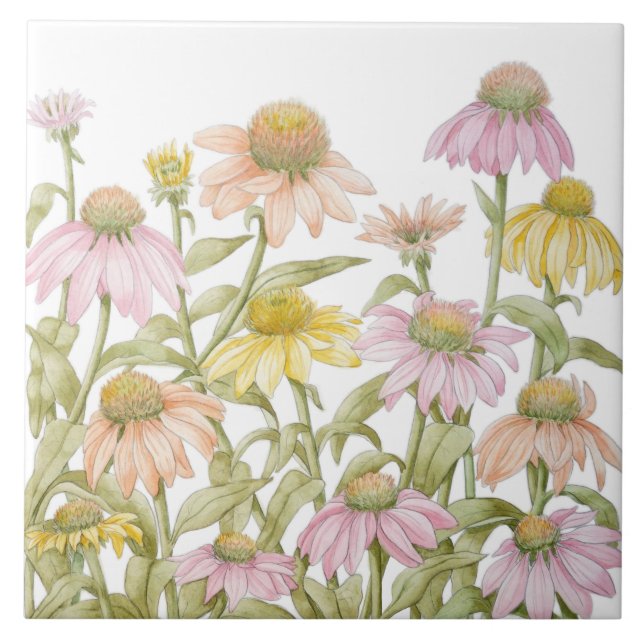 Carreau Coneflowers Watercolor (Devant)