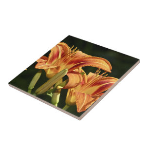 Carreau Considérons Les Lilies Du Terrain