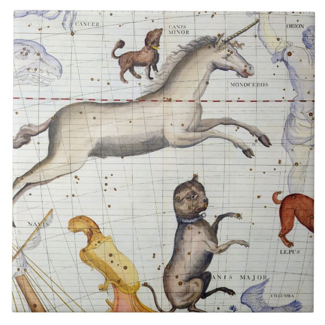 Carreau Constellation de Monoceros avec le commandant de (Devant)